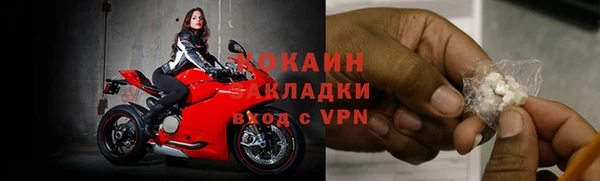 мяу мяу мука Богданович