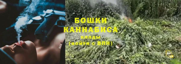 тгк Богородицк