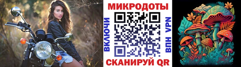 Псилоцибиновые грибы прущие грибы  кракен рабочий сайт  Мезень 
